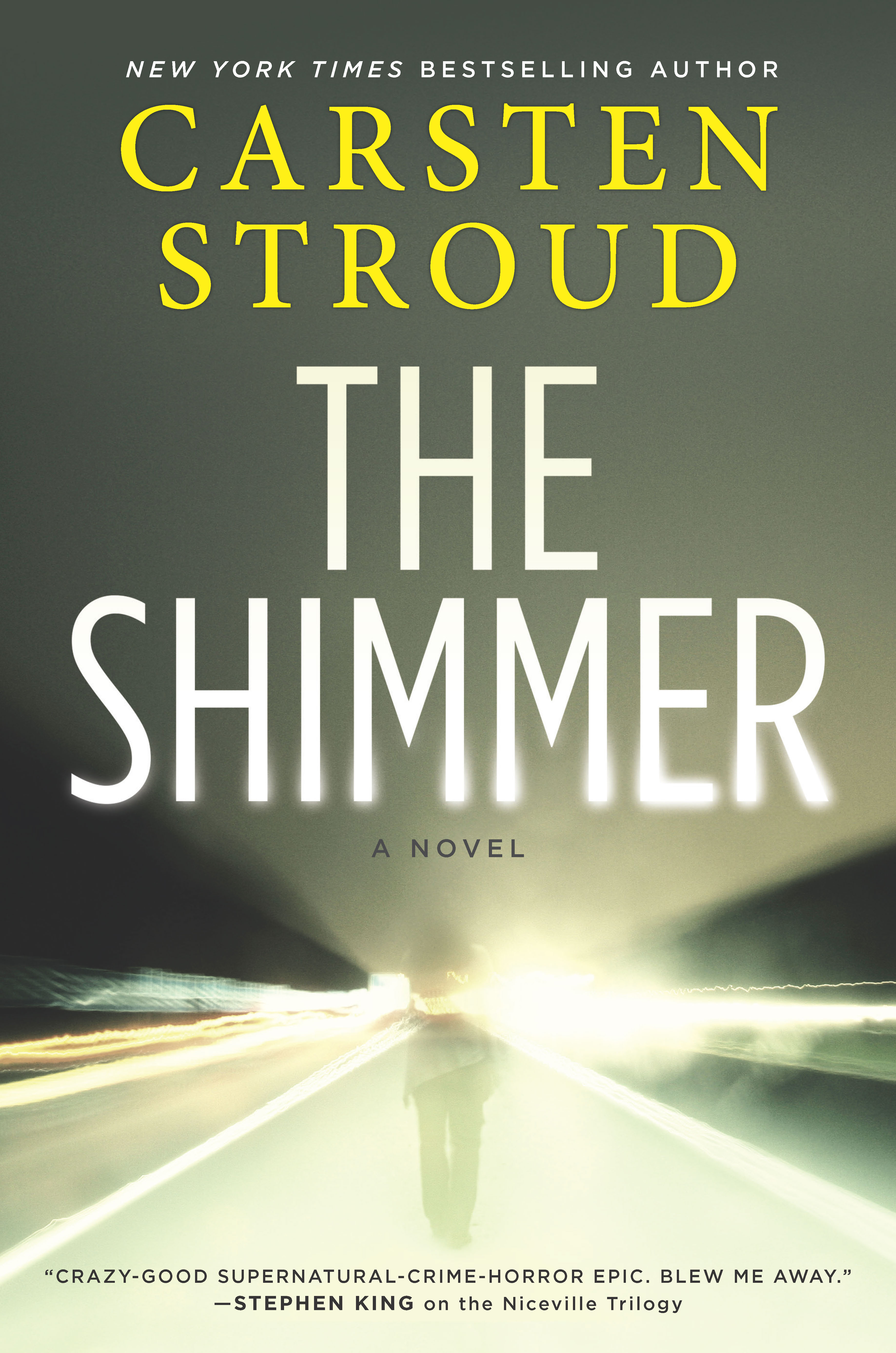 The Shimmer cover