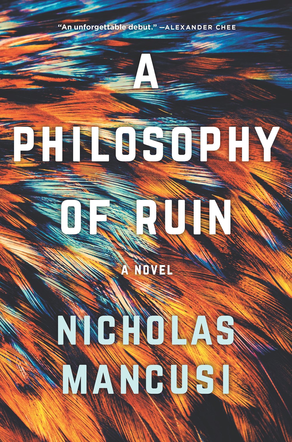 A Philosophy of Ruin cover